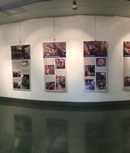 Exhibitions